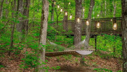 Peaceful Hideaway Treehouse near Little River Canyon - Foto 5, Garden view