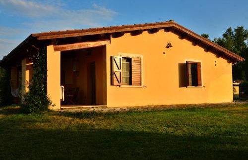 Agriturismo Terre di Musignano - Foto 74