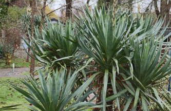 Pension Gladbeck - Ihre Pension im Ruhrgebiet - Foto 26