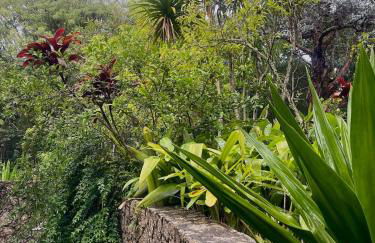 Reserva Atibaia / Casa de Montanha - Photo 41