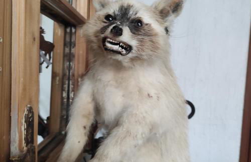 Jagdhaus Holtebock - Foto 31