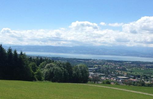 FeWo Familie Walther - Foto 19