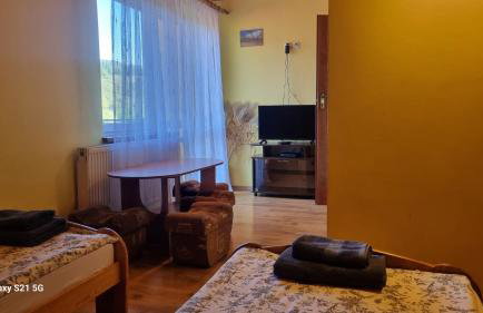 Pod Smerekiem - Photo 11