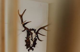 Stadt Land Fluss Boutique Aparthotel by Zollhaus - Foto 64