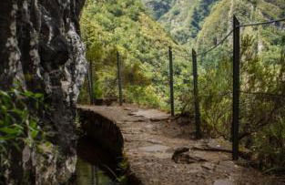 Pana House - Photo 60