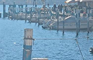 Open space fronte lago - Foto 25