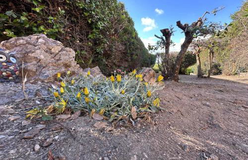 Stintino vista mare l'ancora - Photo 37