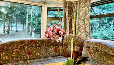 Holenderek Agro-Stajnia - Foto 4