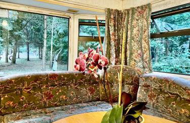 Holenderek Agro-Stajnia - Foto 4