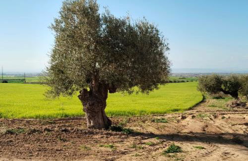 Casa rural Cerro Campón - Foto 7