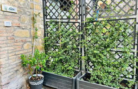 Assisi, Angolo di Matilde - Foto 7