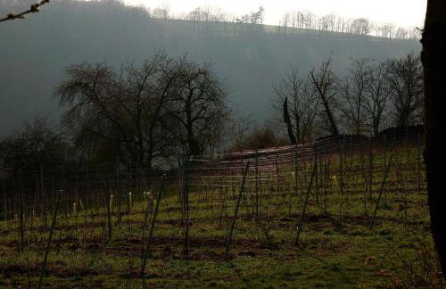 Quartier Rottewitz - Foto 7