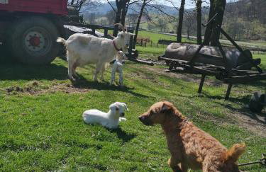 Stybeck Farm - Foto 37