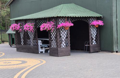 Szyszkowy Domek - Foto 21