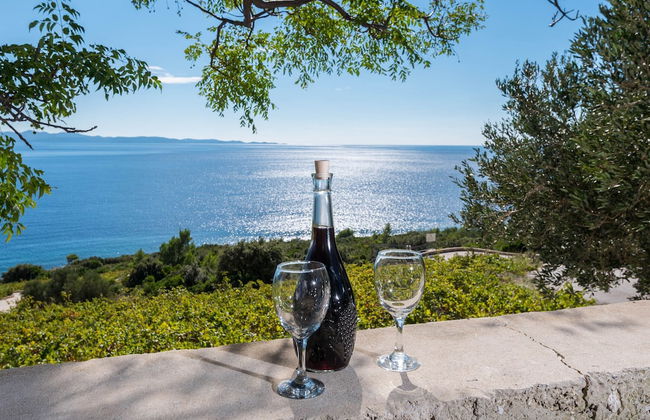 Country Home Dingač - Photo 14