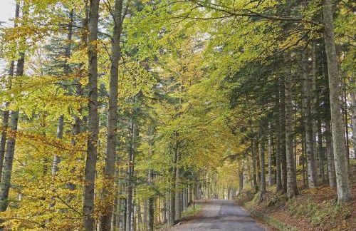 Gli Aristogatti - Foto 33