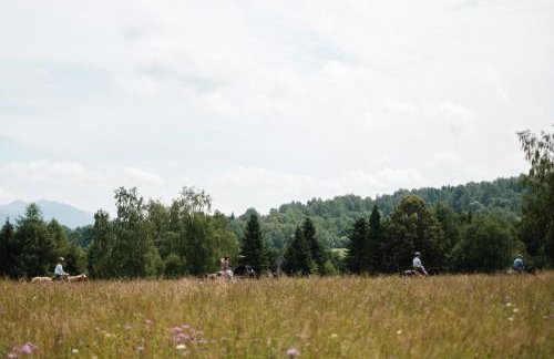 Dom Malowany domki - Foto 21