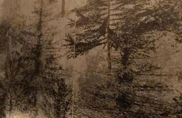 Appartamento panoramico in montagna Alpi Bardonecchia - Foto 27