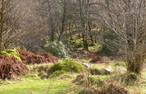 McHugh and Loudon Cottages - Foto 36