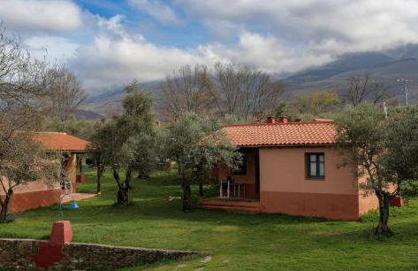 Aldea Vetonia Alojamientos con Encanto Parque de Mascotas-NO SE ACEPTAN EN JULIO Y AGOSTO- Varias zonas infantiles y deportivas "encuentranos y reserva para verano" - Foto 27