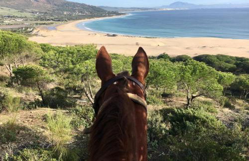 Beautiful Coastal Retreat in Punta Paloma, Tarifa - Foto 77