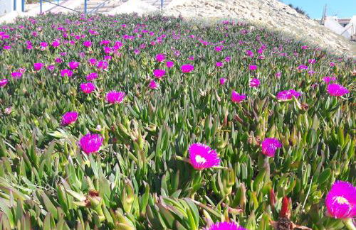 Apartamento Naturaleza Virgen - Photo 58