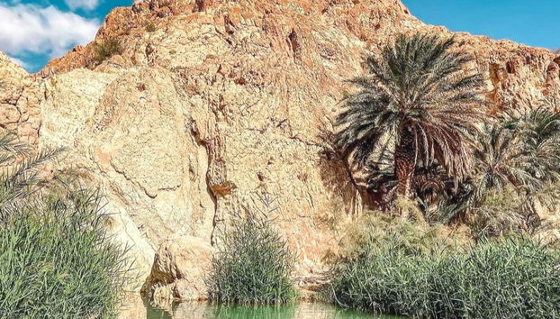 Excursão a Chebika, Tamerza e Midès - Foto 2