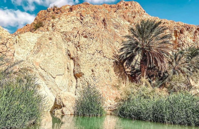 Tamerza, Chebika, & Midès Day Trip - Foto 2