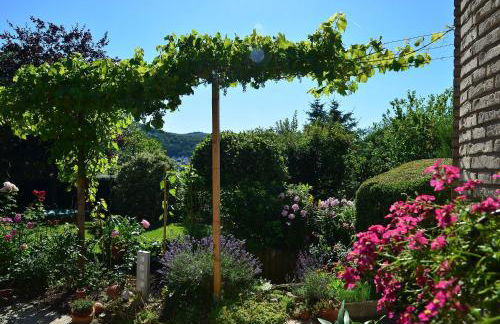 Fewo Amber - Foto 10