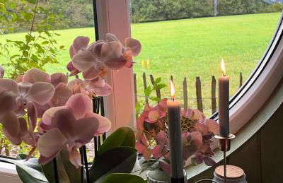 Eulennest - Tiny House im Habichtswald - Foto 9