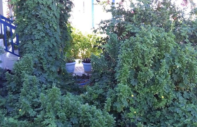 Giannis Hotel Apartments - Foto 60