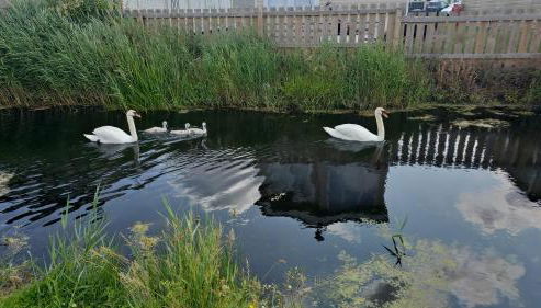 Robins Sunset Holiday Home - Foto 3