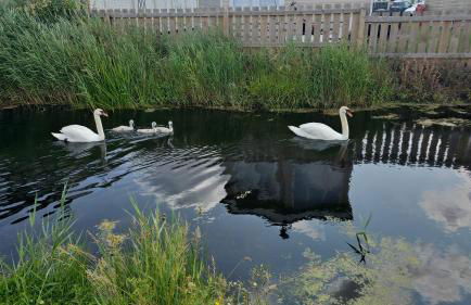 Robins Sunset Holiday Home - Foto 3