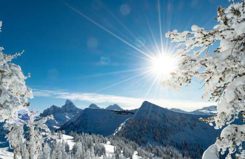 Teton View Studio - Hidden Gem near Yellowstone - Foto 2