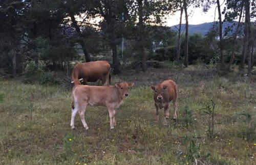 Villetta DESSANAI - Foto 25