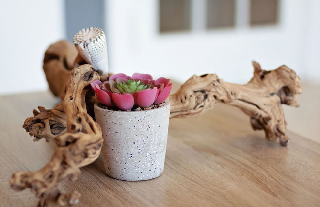 Sea Studio - Sea-facing - Foto 18