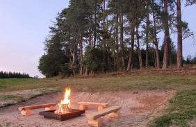 Siedlisko Przy Lesie Alpaka 3 - Foto 18