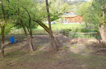 Quinta da Bolota Guest House - Foto 5