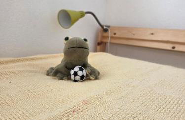 Schwarzwaldblick Rothaus - Photo 44