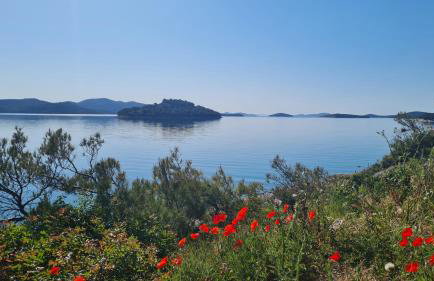 Apartments Valentina Tisno - Photo 55