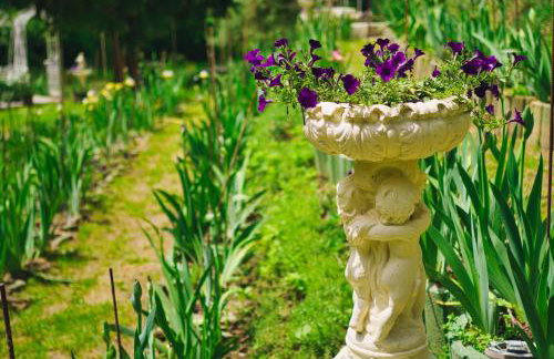 Casa "Dolina Kraljevac" - Foto 37