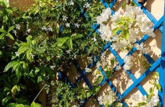 Bella Vista Sant Orsula 2 bedroom View Terrace Historic Center Spacious Apartment - Foto 4