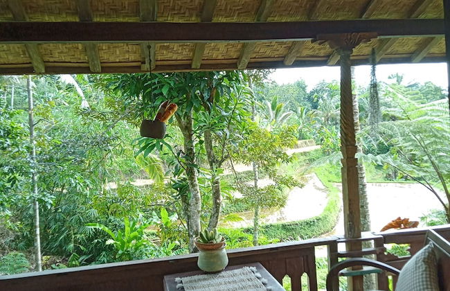 duegoal farmhouse - Photo 27