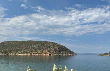 Coast Cottage Porto Rafti-Avlaki by BRP-Properties - Foto 17