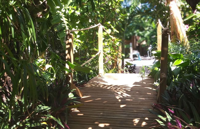 Gite Bois-Cannelle - Photo 25