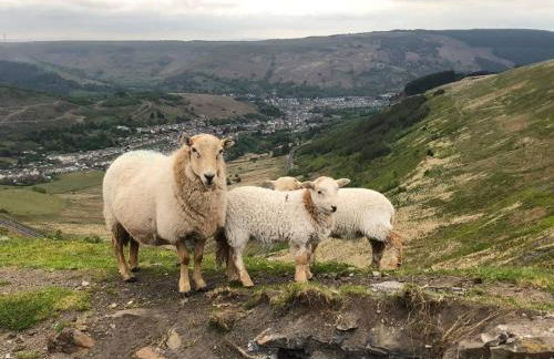 Charming Shepherd's Cottage, Pets Welcome,Parking - Foto 51