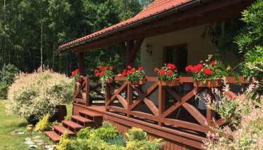 Dom w Sąpach - Foto 4