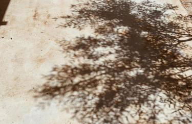 Trullo Contrada Specchi - Foto 18