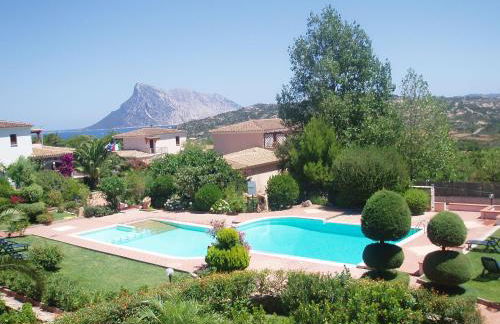 Flamingo's Home - Photo 8