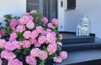 Luxury Appartement Marz, Europa Park-Rulantica - Foto 44